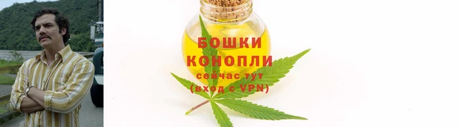 spice Баксан