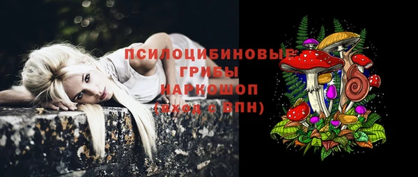 spice Баксан